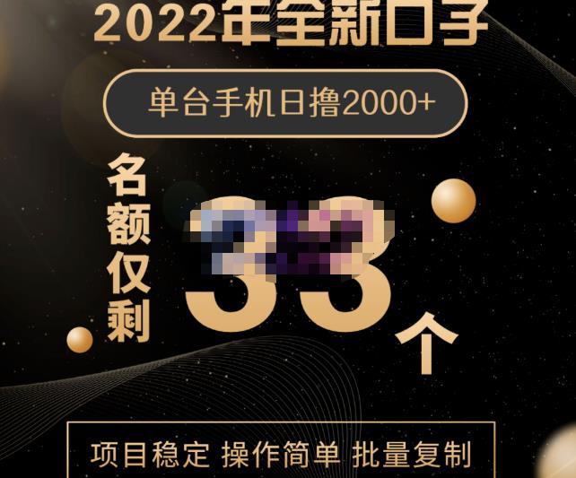 2022年全新口子，手机批量搬砖玩法，一部手机日撸2000+